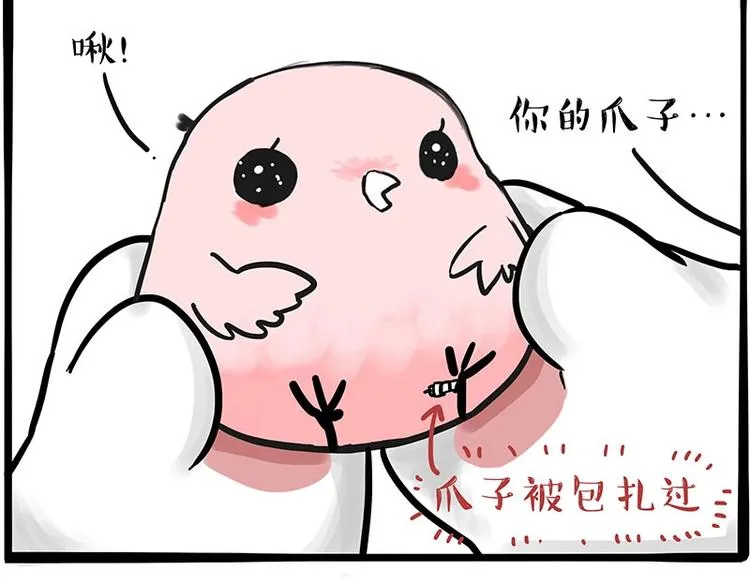 第195话 人类，尝尝我的父爱 第52页