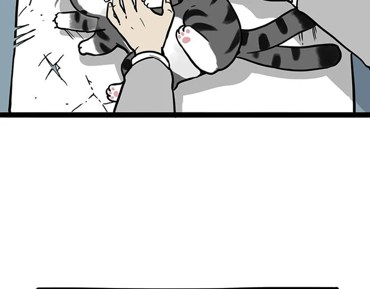 第196话 我们一起画猫猫 第14页