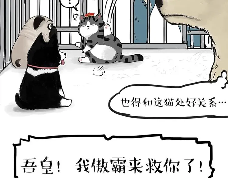 第198话 你爱世界，但我爱你 第31页
