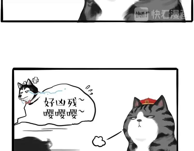 第197话 猫怼狗 第10页