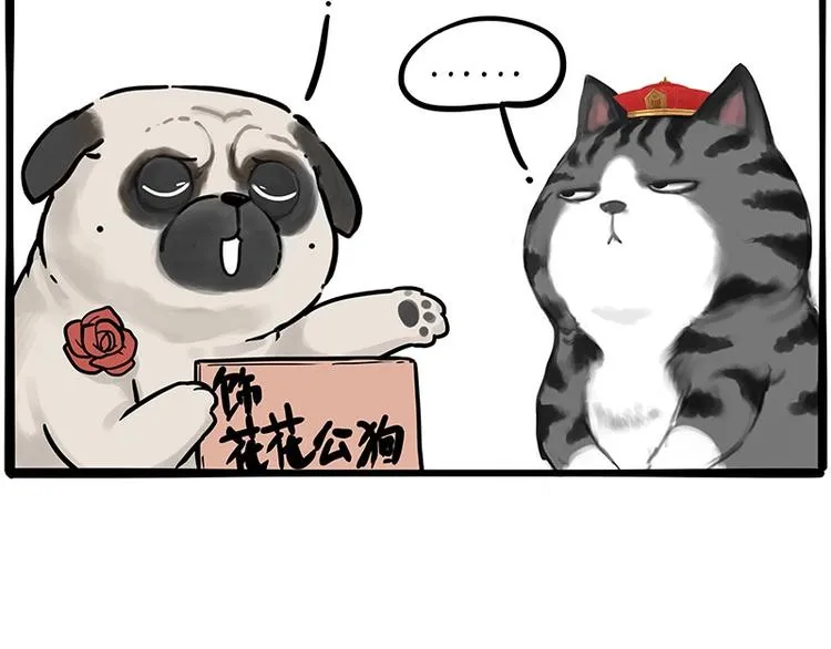 第197话 猫怼狗 第12页