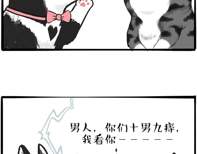 第197话 猫怼狗 第18页