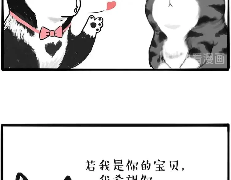 第197话 猫怼狗 第39页