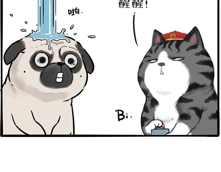第197话 猫怼狗 第45页