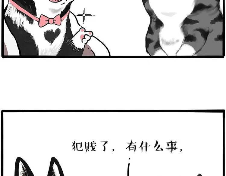 第197话 猫怼狗 第50页