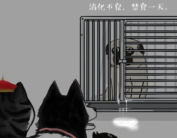 第202话 谁动了吾皇的猫粮 第4页