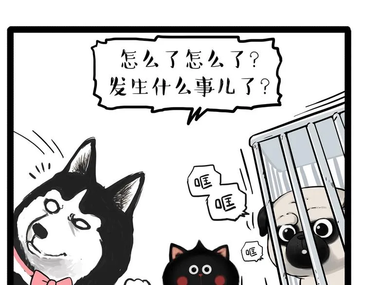 第202话 谁动了吾皇的猫粮 第8页