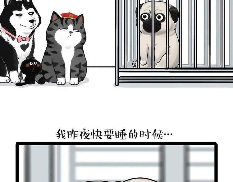 第202话 谁动了吾皇的猫粮 第15页