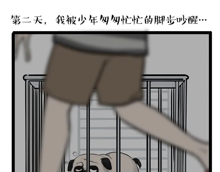 第202话 谁动了吾皇的猫粮 第22页