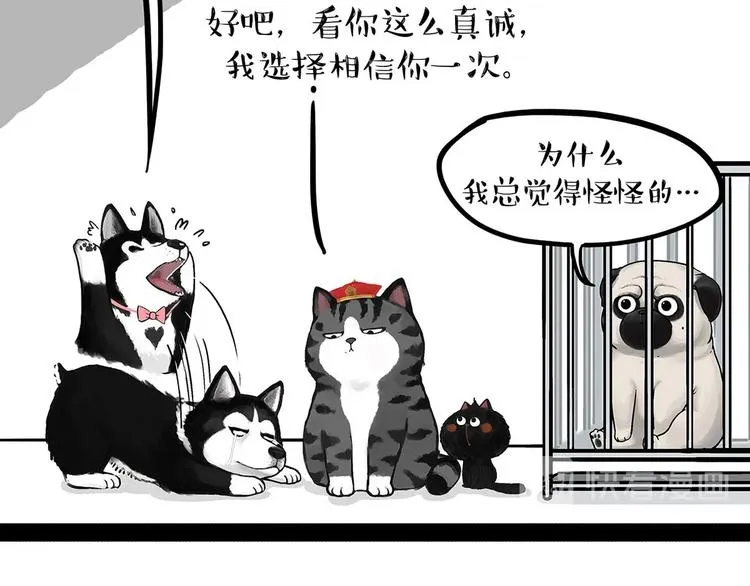 第202话 谁动了吾皇的猫粮 第38页