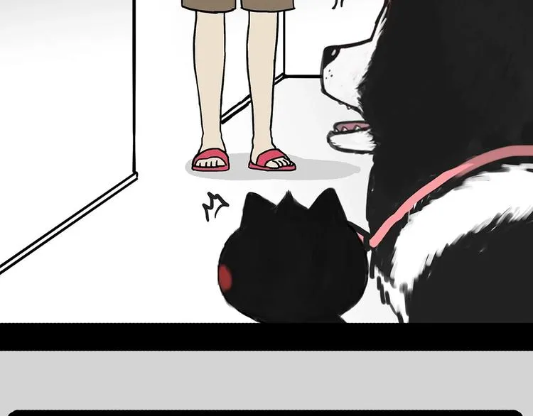 第202话 谁动了吾皇的猫粮 第56页