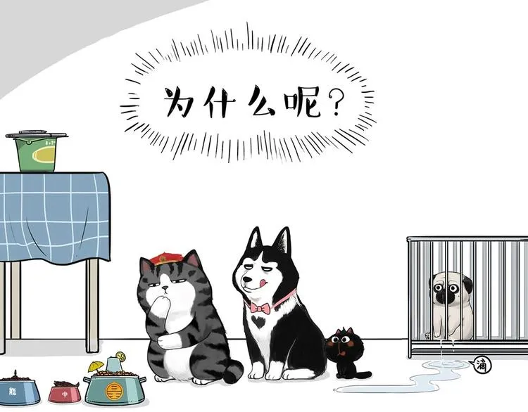 第202话 谁动了吾皇的猫粮 第63页