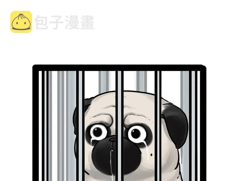 第202话 谁动了吾皇的猫粮 第64页