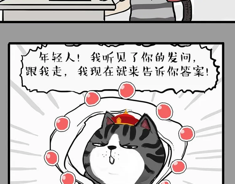 第205话 一切都是猫的安排 第6页