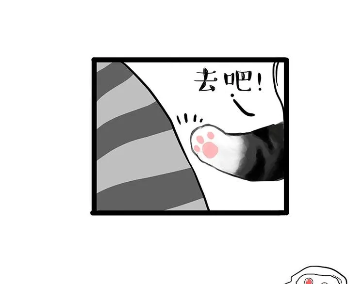 第205话 一切都是猫的安排 第10页