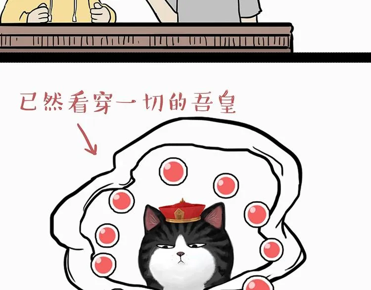 第205话 一切都是猫的安排 第38页