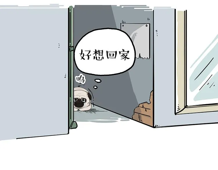 第207话 巴扎黑丢了？！ 第11页