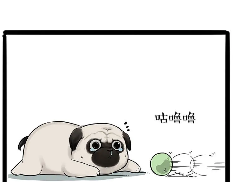 第207话 巴扎黑丢了？！ 第12页