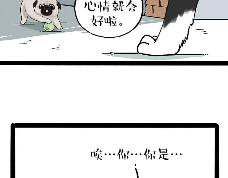 第207话 巴扎黑丢了？！ 第14页