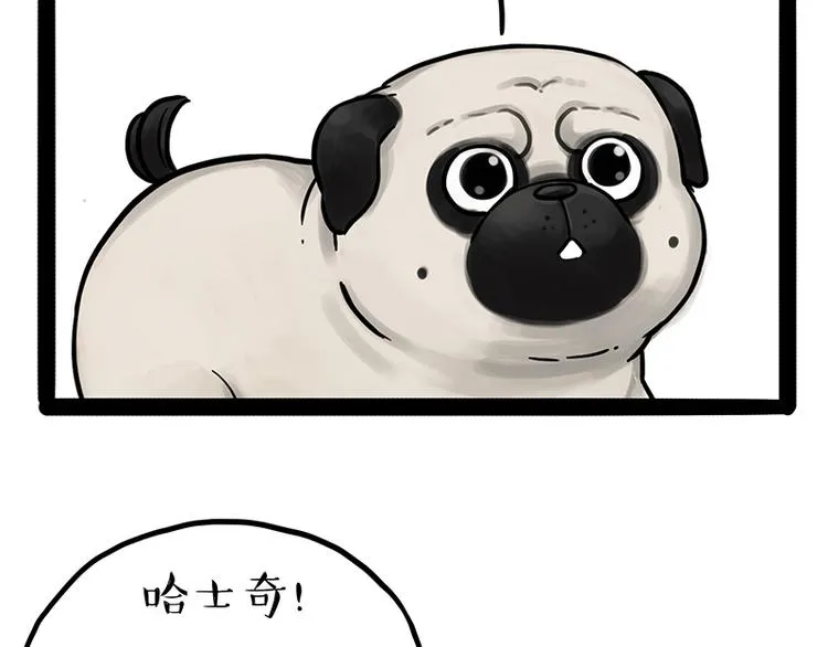 第207话 巴扎黑丢了？！ 第15页