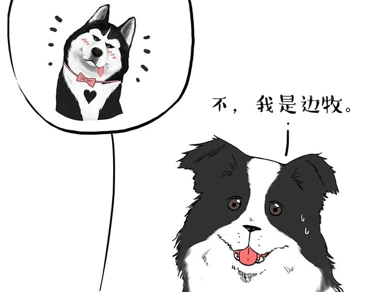 第207话 巴扎黑丢了？！ 第16页