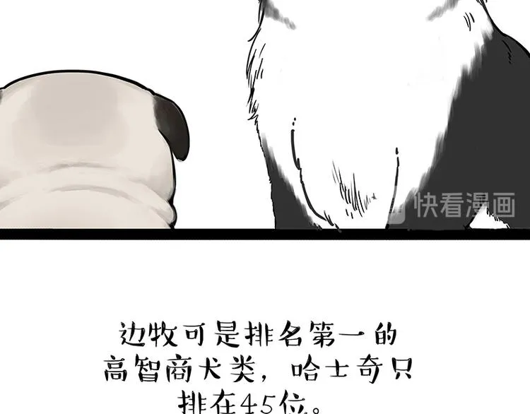 第207话 巴扎黑丢了？！ 第17页