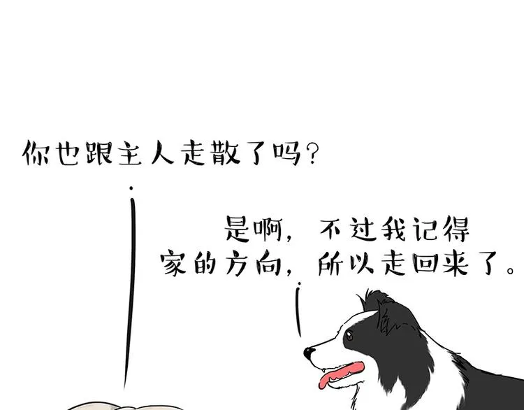 第207话 巴扎黑丢了？！ 第21页