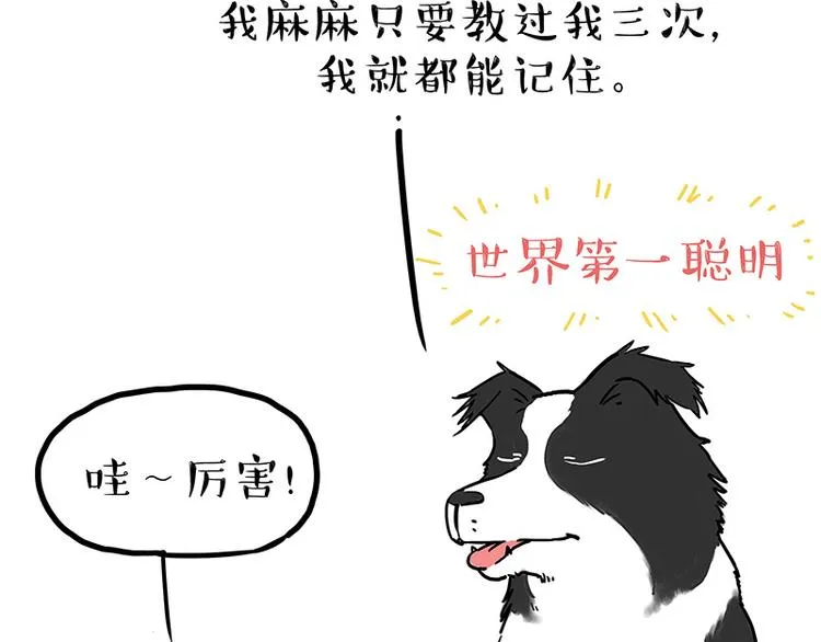 第207话 巴扎黑丢了？！ 第29页