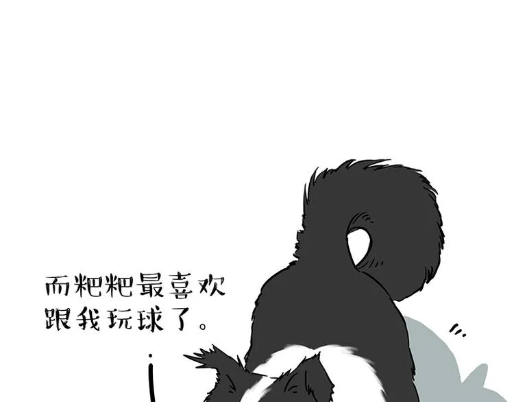 第207话 巴扎黑丢了？！ 第31页