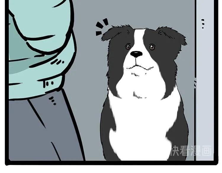 第207话 巴扎黑丢了？！ 第35页