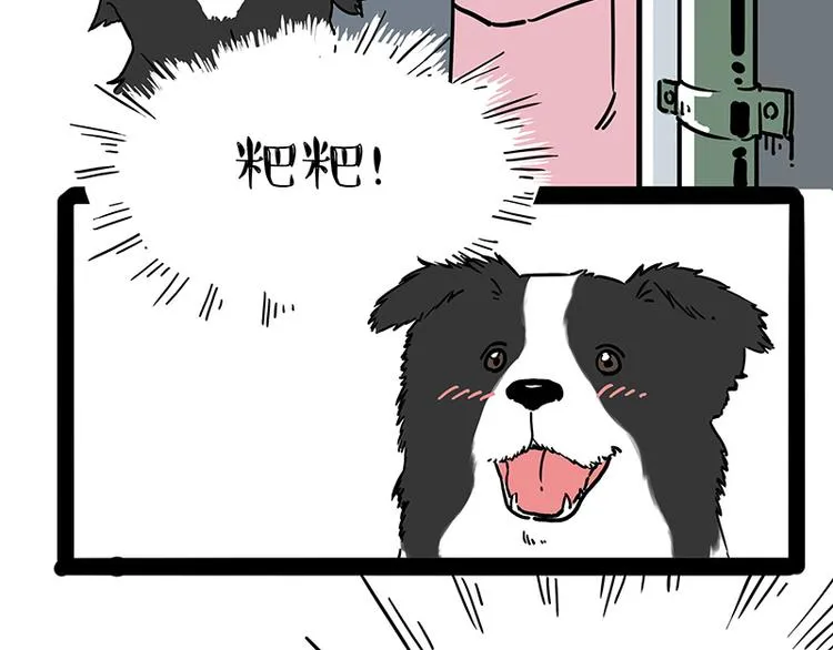 第207话 巴扎黑丢了？！ 第38页