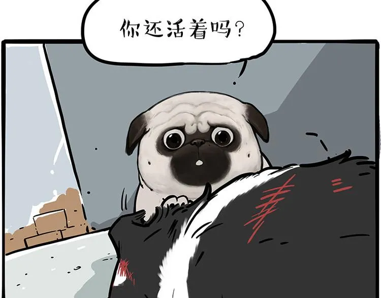 第207话 巴扎黑丢了？！ 第44页