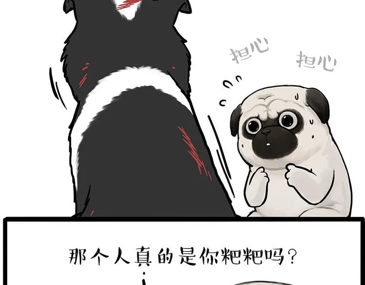 第207话 巴扎黑丢了？！ 第46页