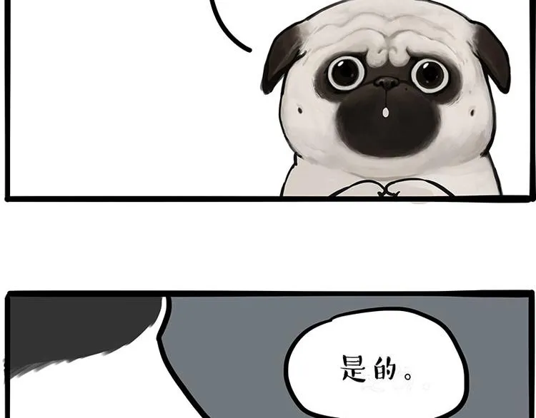 第207话 巴扎黑丢了？！ 第47页