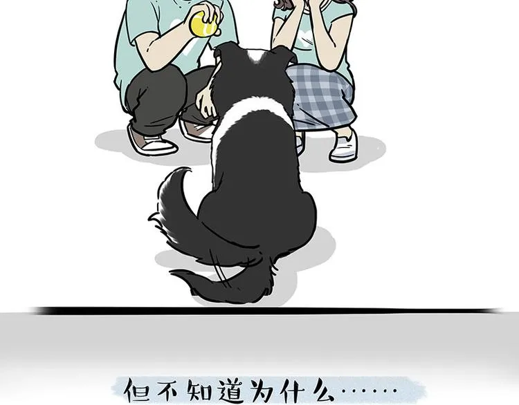 第207话 巴扎黑丢了？！ 第51页