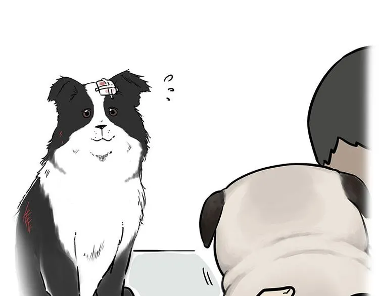 第207话 巴扎黑丢了？！ 第69页