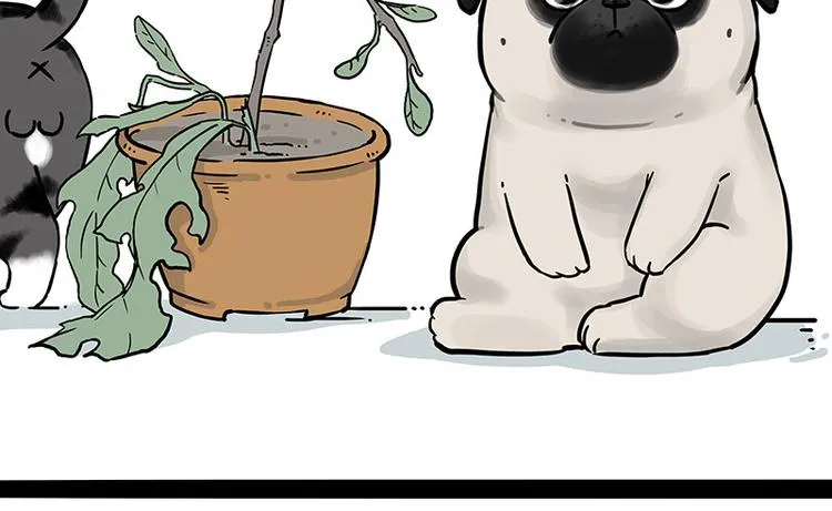 第210话 巴扎黑是最委屈的狗 第13页