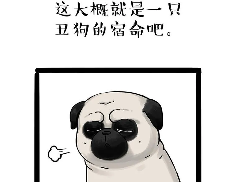 第210话 巴扎黑是最委屈的狗 第17页