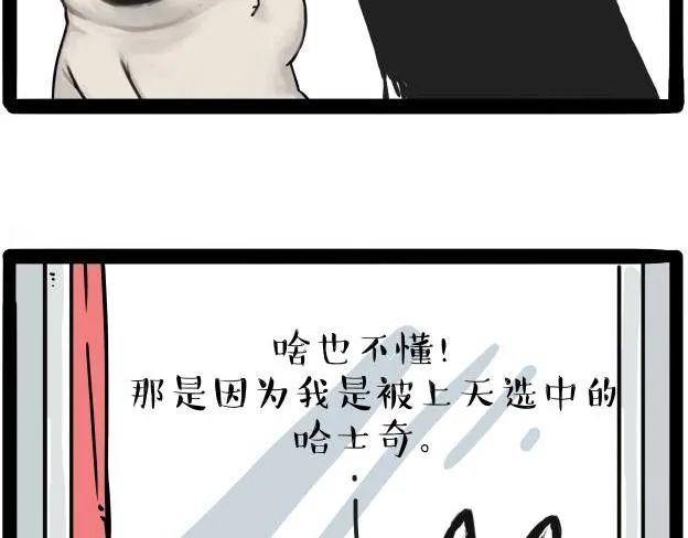 第212话 万能爹和“狗”生 第17页
