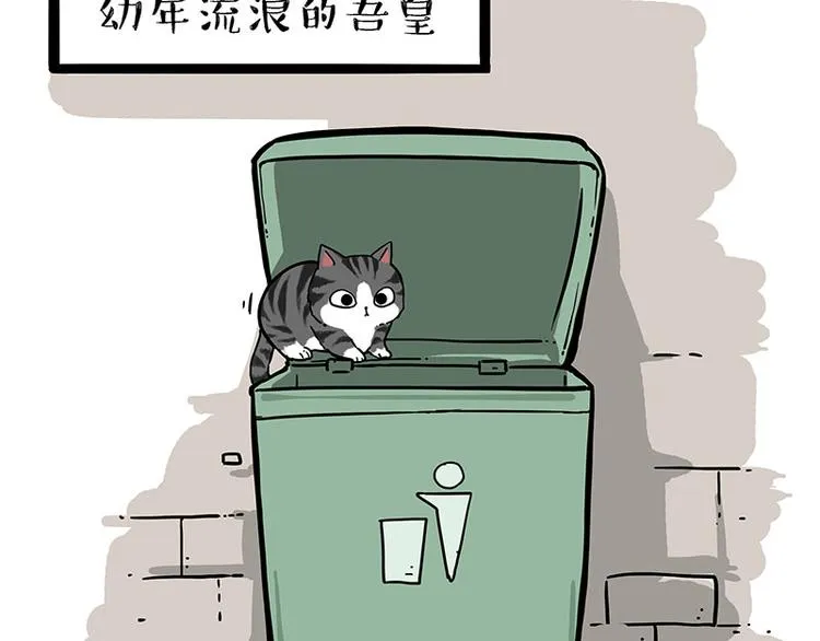第213话 脱线穿越(上) 第19页
