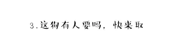 第215话 狗不要了 第37页