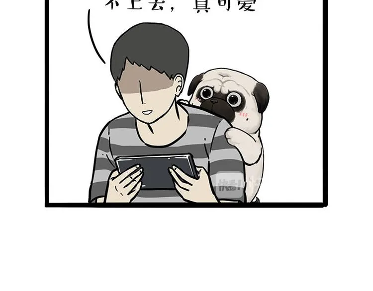 第215话 狗不要了 第40页