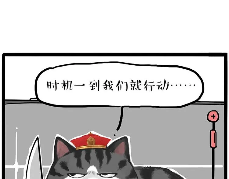 第217话 联手“作案” 第11页