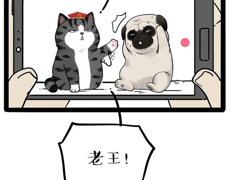 第217话 联手“作案” 第52页