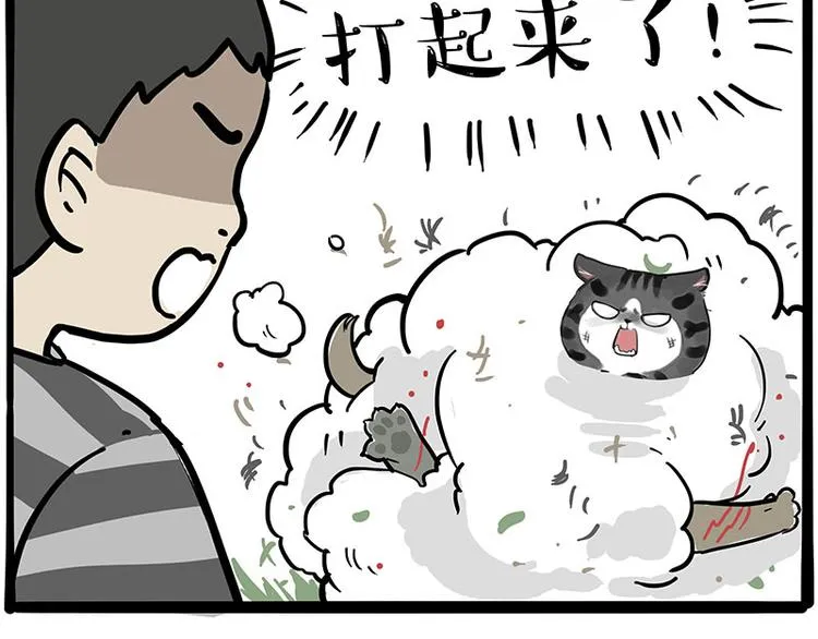 第219话 少年侠.你给我爬！ 第36页