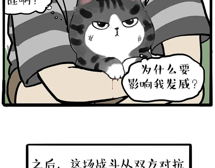 第219话 少年侠.你给我爬！ 第40页