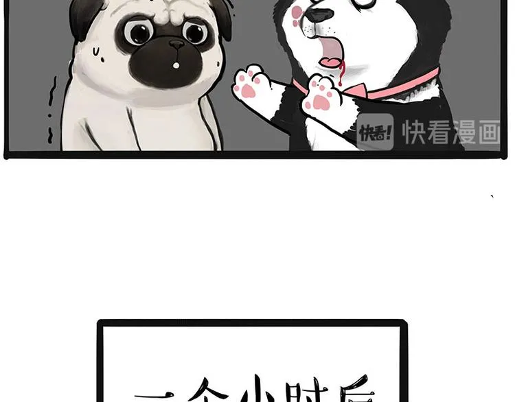 第220话 拆家没怕过谁 第10页