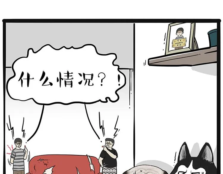 第220话 拆家没怕过谁 第17页