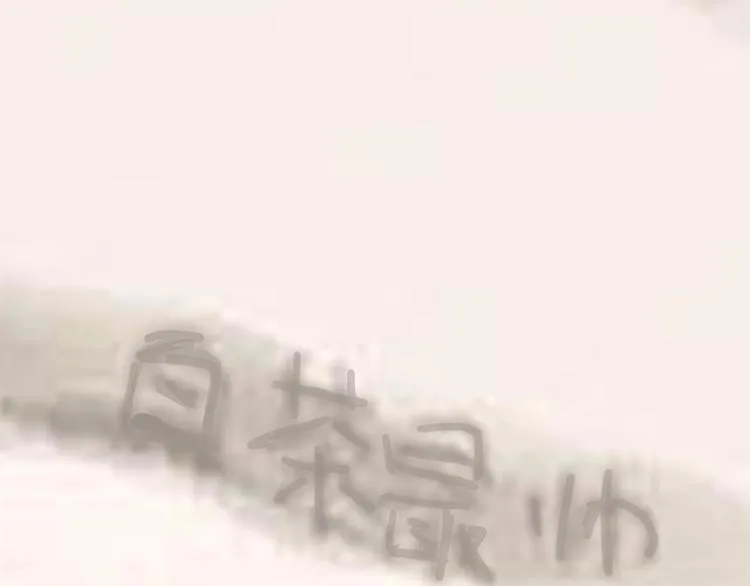 第222话 最终话的事... 第95页
