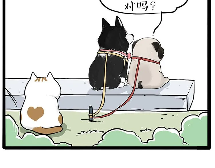 第223话 狗知识增加了 第3页